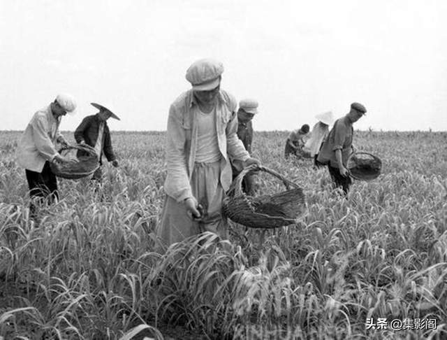 吉林市1959年老照片(图8)