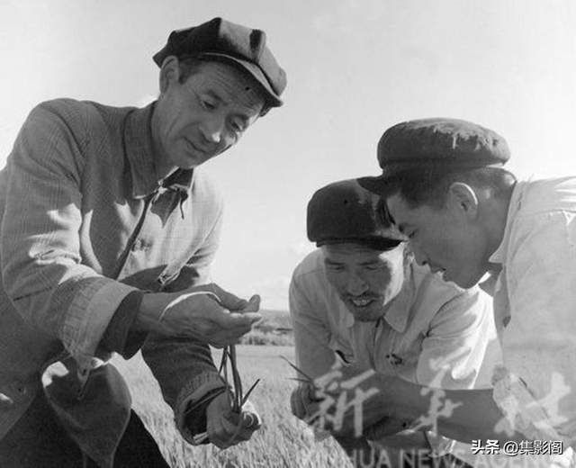 吉林市1959年老照片(图11)