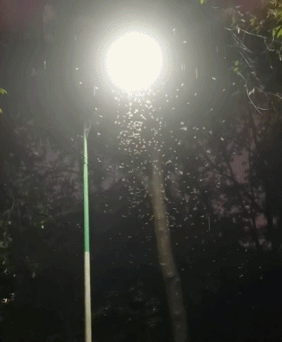 温度记｜上班上学当心“雨拦路”！广东今日仍有较强降雨(图5)