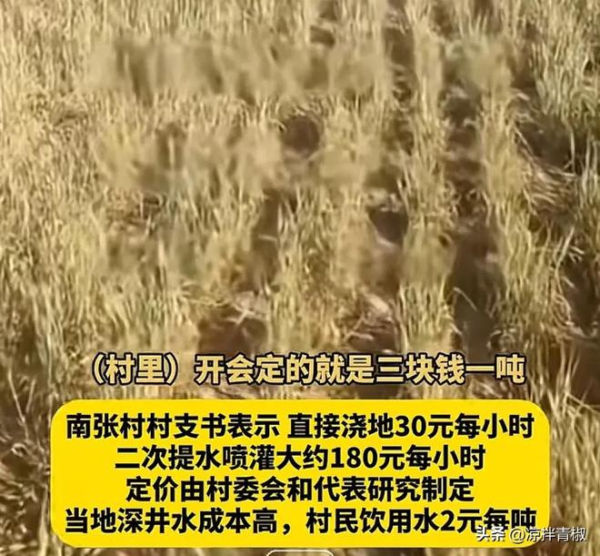 山西一村浇地开天价180小时！麦子干枯村民不敢浇!镇政府回应(图2)