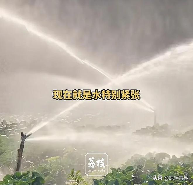 山西一村浇地开天价180小时！麦子干枯村民不敢浇!镇政府回应(图3)